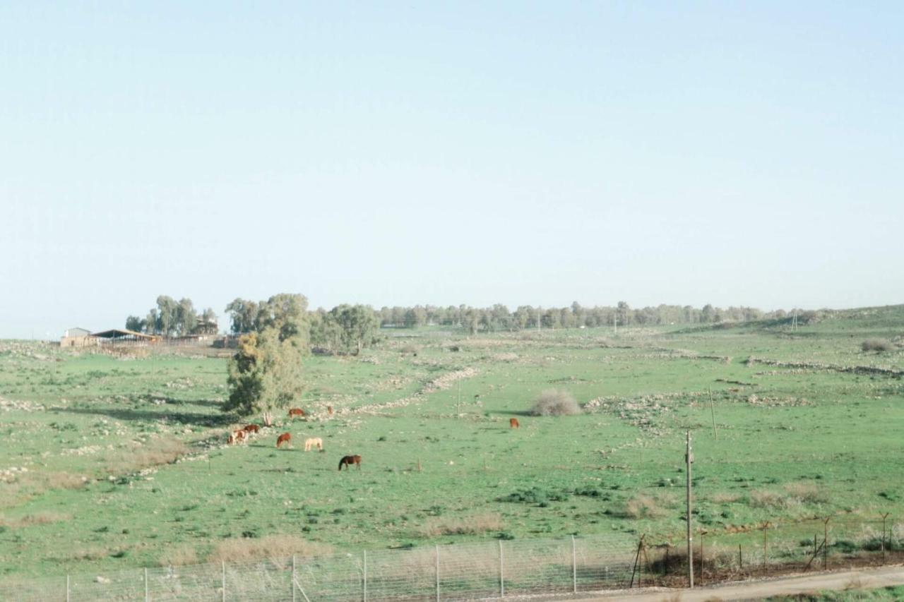 קדמת צבי Villa Buitenkant foto